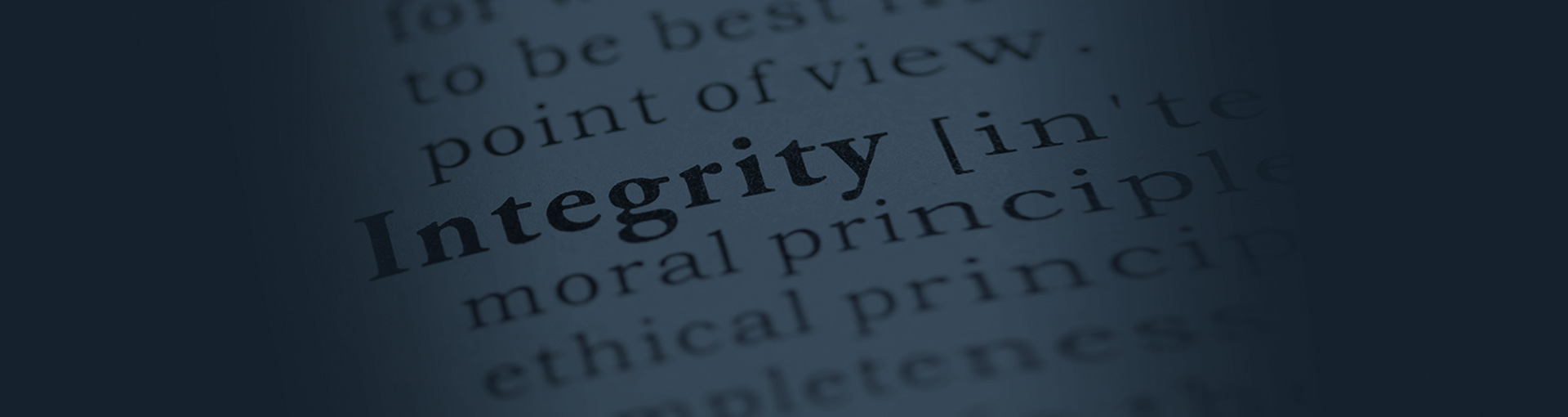 Snippet describing the word 'Integrity' in a dictionary