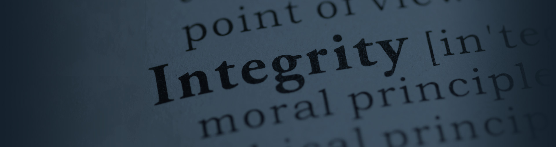 Snippet describing the word 'Integrity' in a dictionary